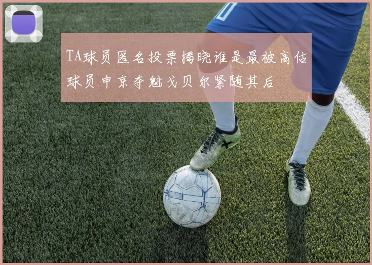 TA球员匿名投票揭晓谁是最被高估球员申京夺魁戈贝尔紧随其后