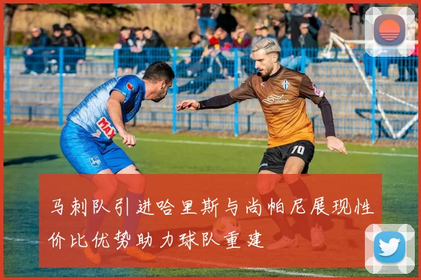 马刺队引进哈里斯与尚帕尼展现性价比优势助力球队重建